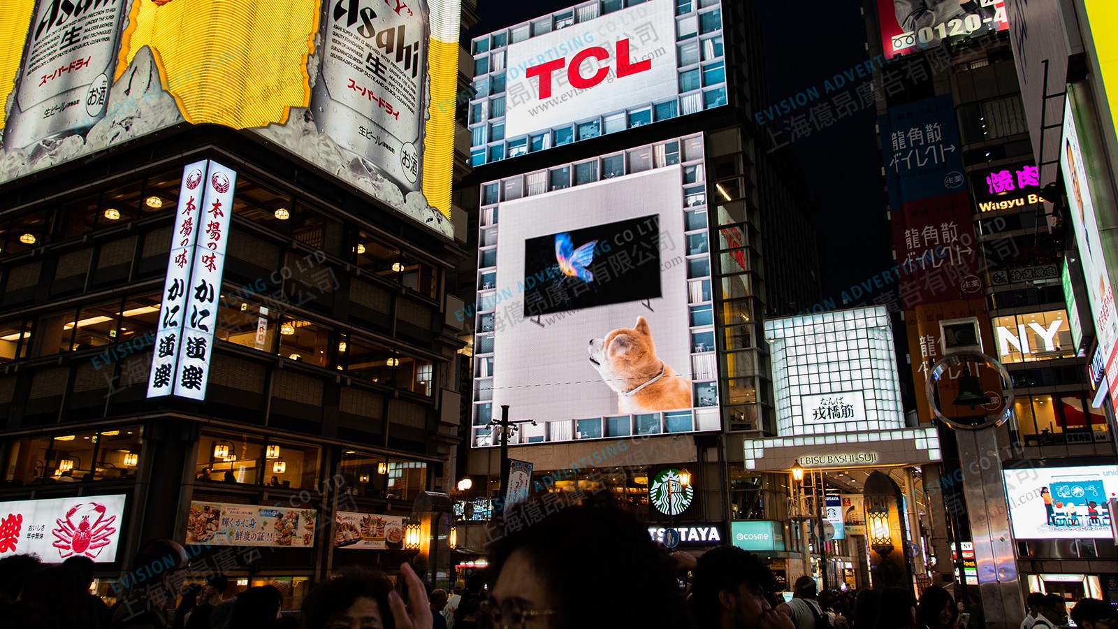 17213766895481495NY4.jpg